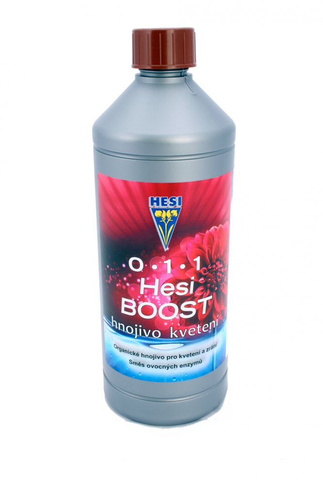 Hesi Boost