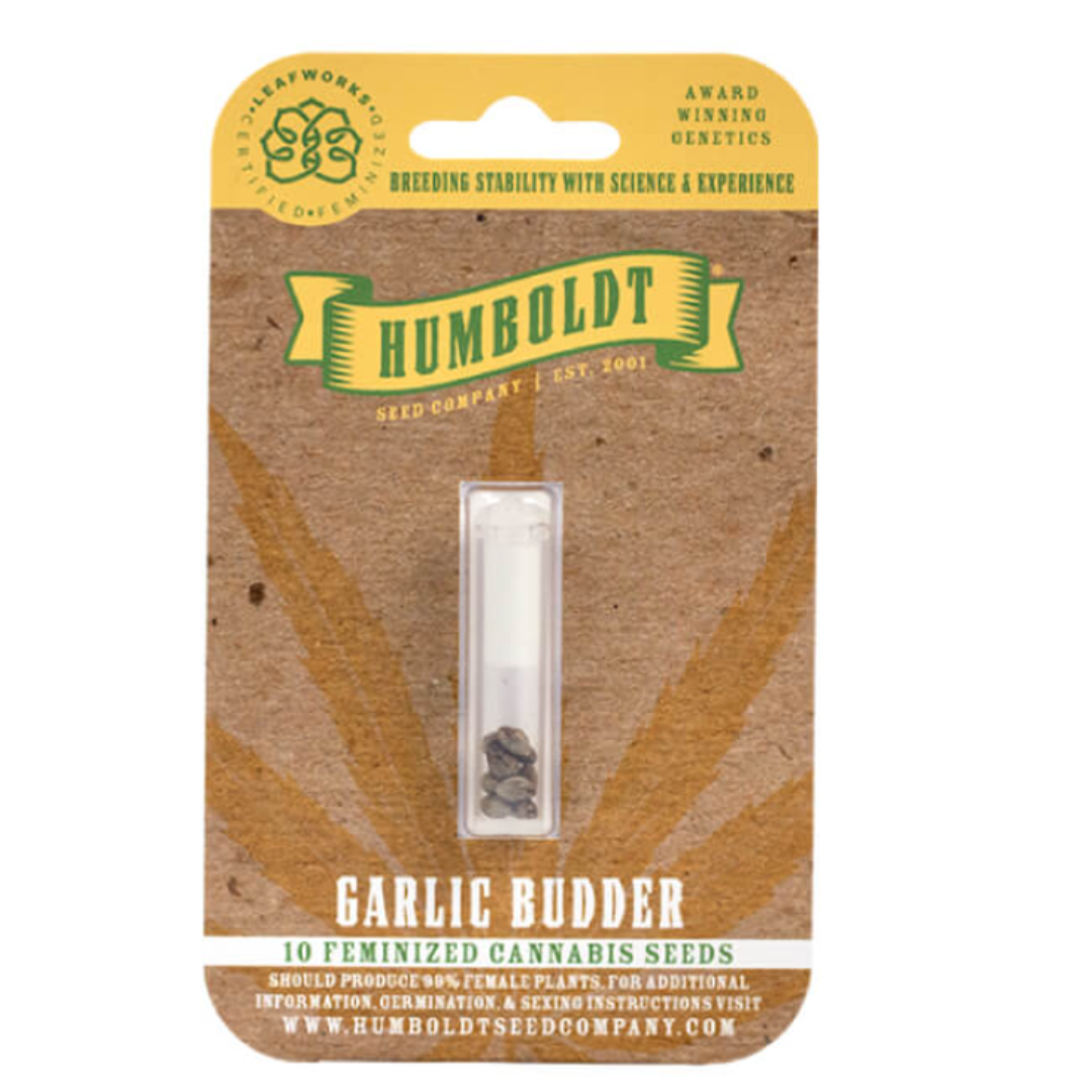 Humboldt Garlic Budder Feminizovaná 3 ks