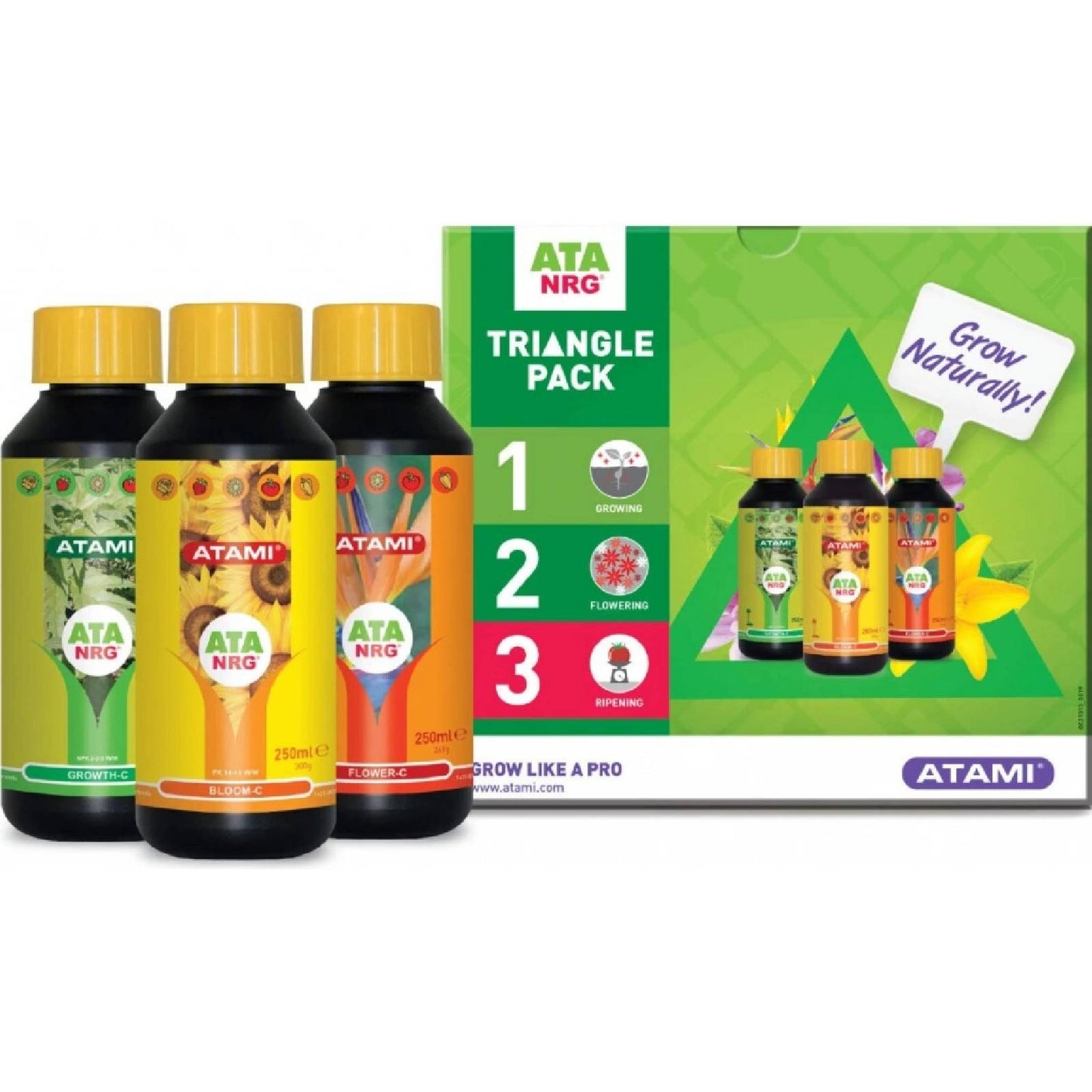 Atami triangle pack
