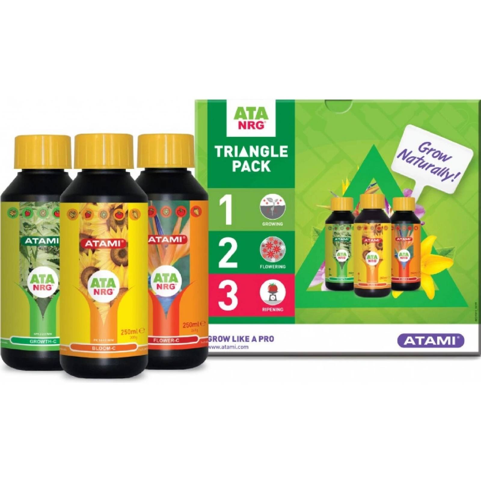 Atami triangle pack