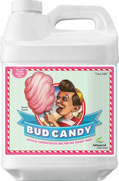 AN Bud Candy 500ml