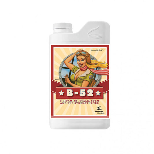 AN B-52 250ml