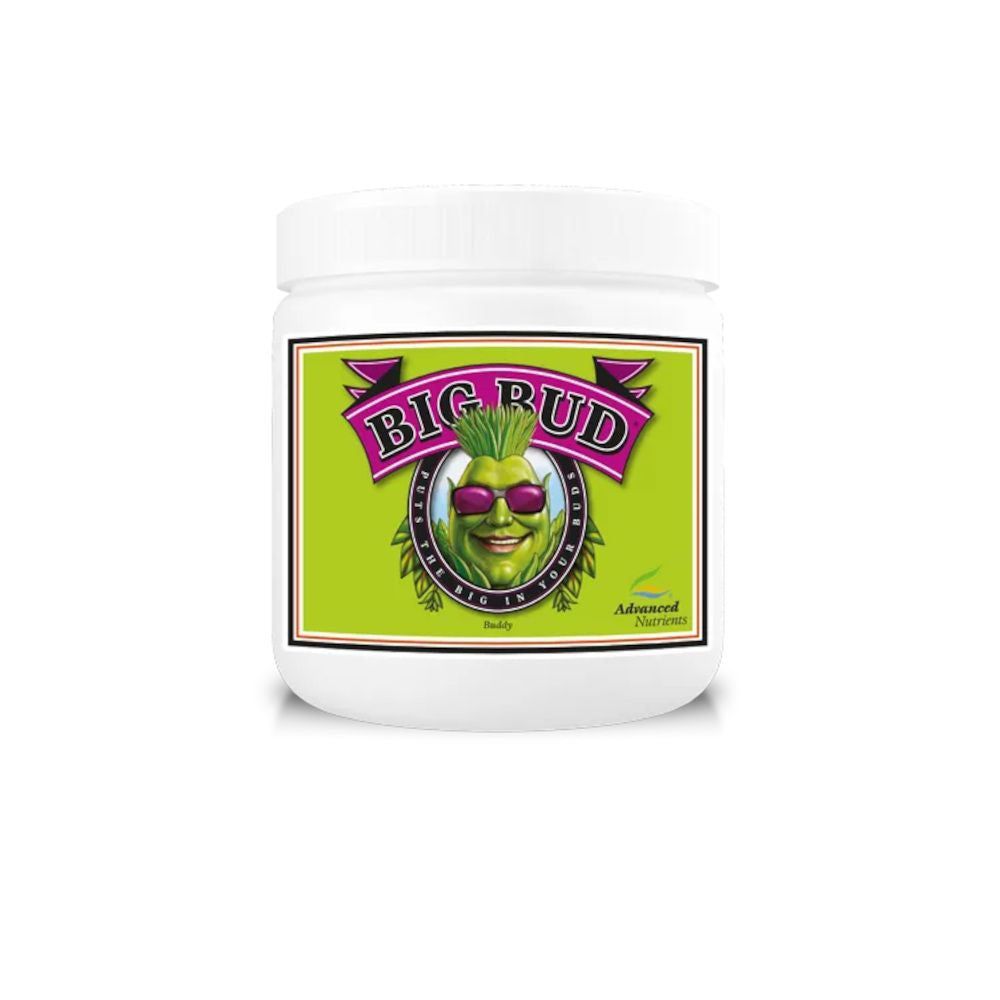 AN Big Bud 500g