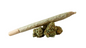 CBD Jointy - Prémiová Relaxace a Pohodlí na bestdealer.cz