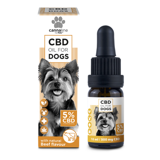 Cbd 5% olej pro psy hovězí příchuť