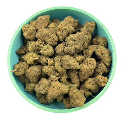 premium indoor