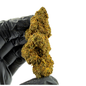 premium indoor