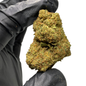 Raspberry THC-X květ