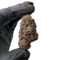 Blackberry Kush THC-X květ