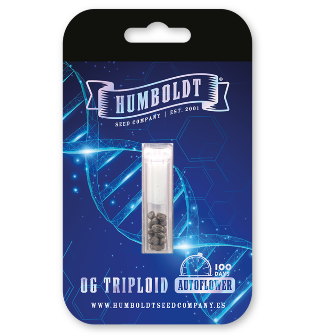 Humboldt OG Triploid AUTO 3 ks