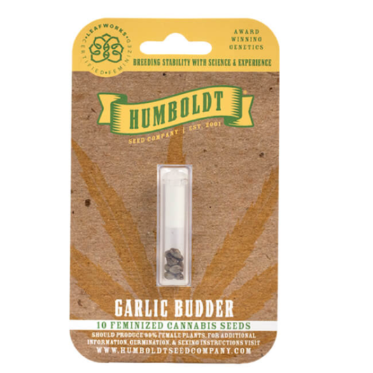 Humboldt Garlic Budder Feminizovaná 3 ks