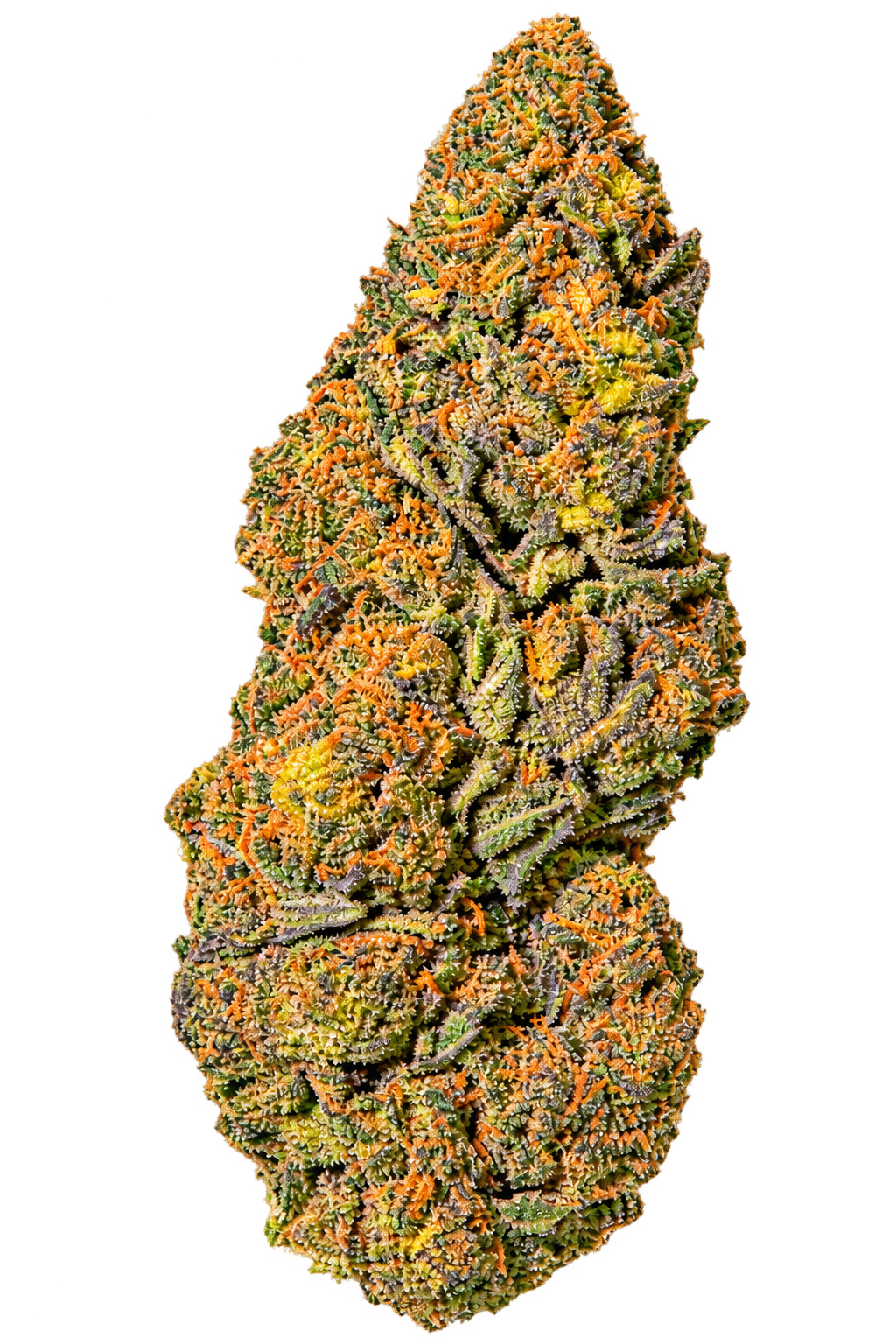 Northern Light  Indoor CBD HIGHⓡ STRONG