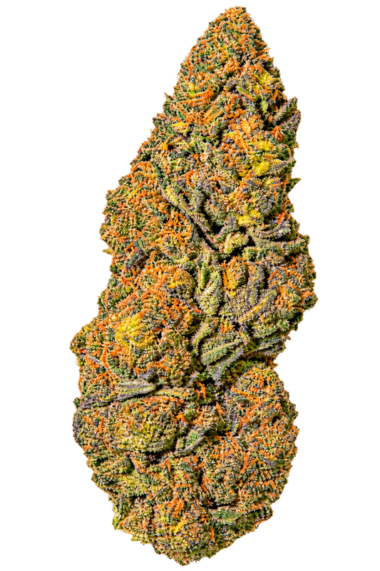 Northern Light  Indoor CBD HIGHⓡ STRONG