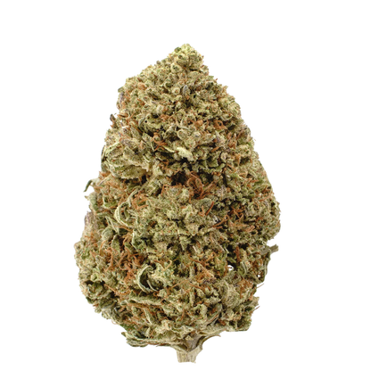 Buba Kush CBD HIGHⓡ