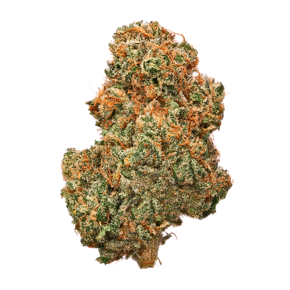 Cup Junkie | CBD HIGH Kvet | Nanoⓡ