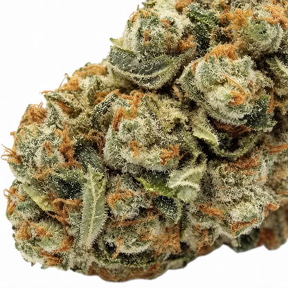 Cup Junkie | CBD HIGH Kvet | Nanoⓡ