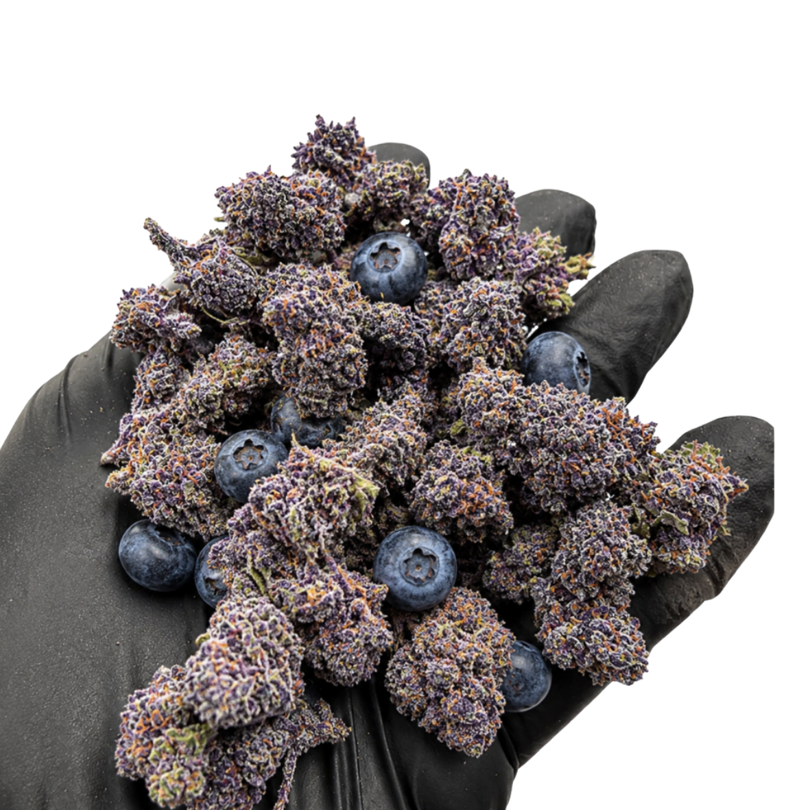 Small Buds Mix Blueberry CBD HIGHⓡ