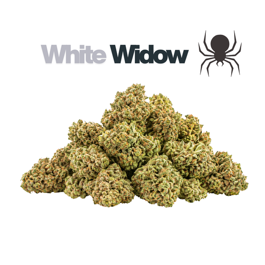 Small Buds Mix White Widow CBD HIGHⓡ