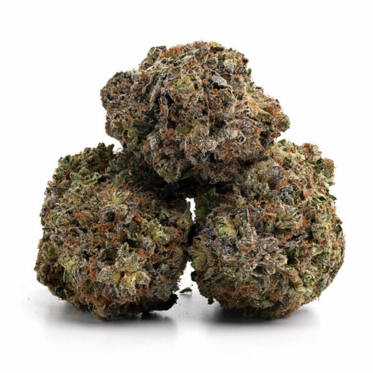 Northern Light  Indoor CBD HIGHⓡ