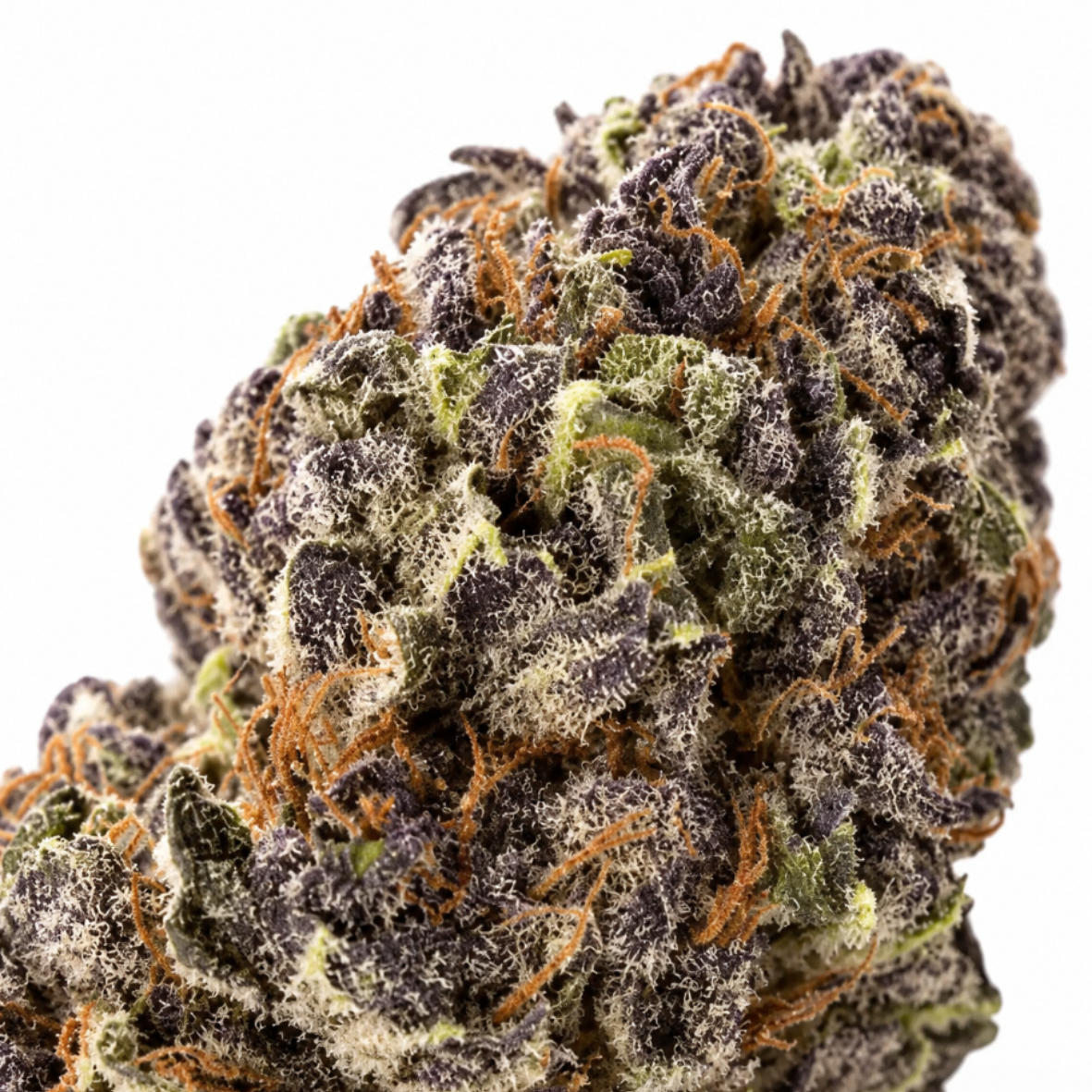 Blue Zushi CBD HIGHⓡ
