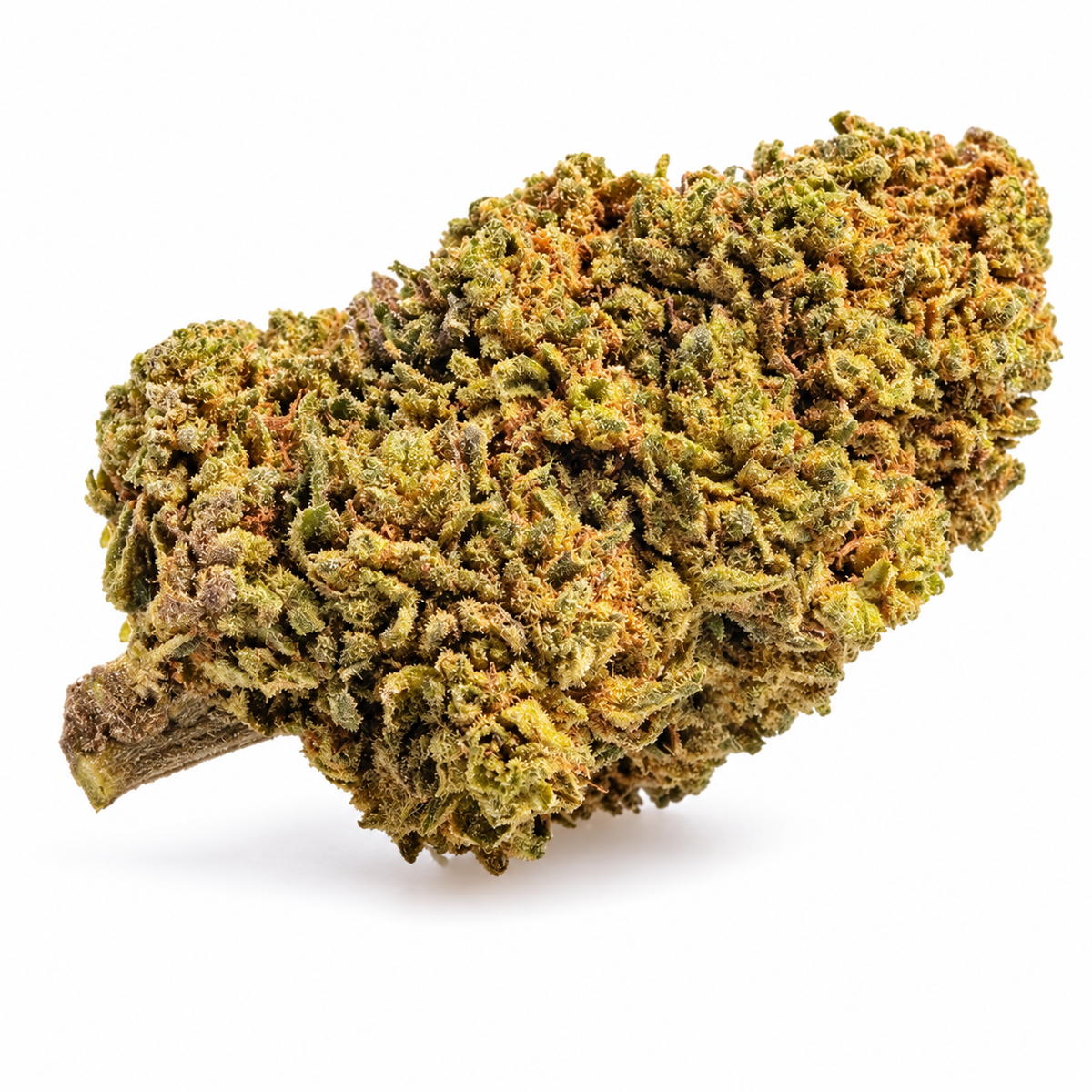 Mango Tango CBD HIGH – upravená produktová fotografie květu
